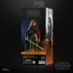 STAR WARS THE BLACK SERIES LUKE SKYWALKER 1